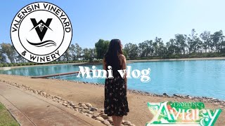 Winery/Bar Mini Vlog (With Friends)