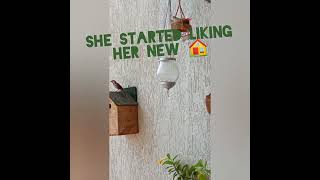 The story of a little sparrow. who became my friend. 😍🥰