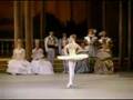 Natalia Osipova & Ivan Vasiliev - Don Quixote