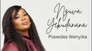 Nguva Yekudanana-Plaxedes Wenyika
