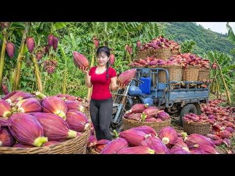 Farm Life: Harvesting Wild Banana Flowers & Vegetables for the Countryside Market