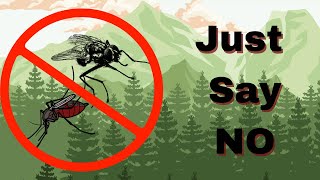 Don’t Let Bugs Ruin Your Backpacking!
