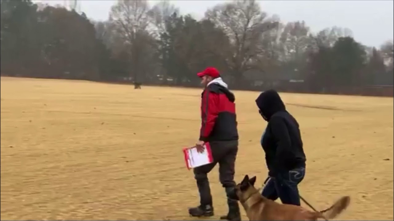 Wild | Tracking | FMBB Selection Trial 2020