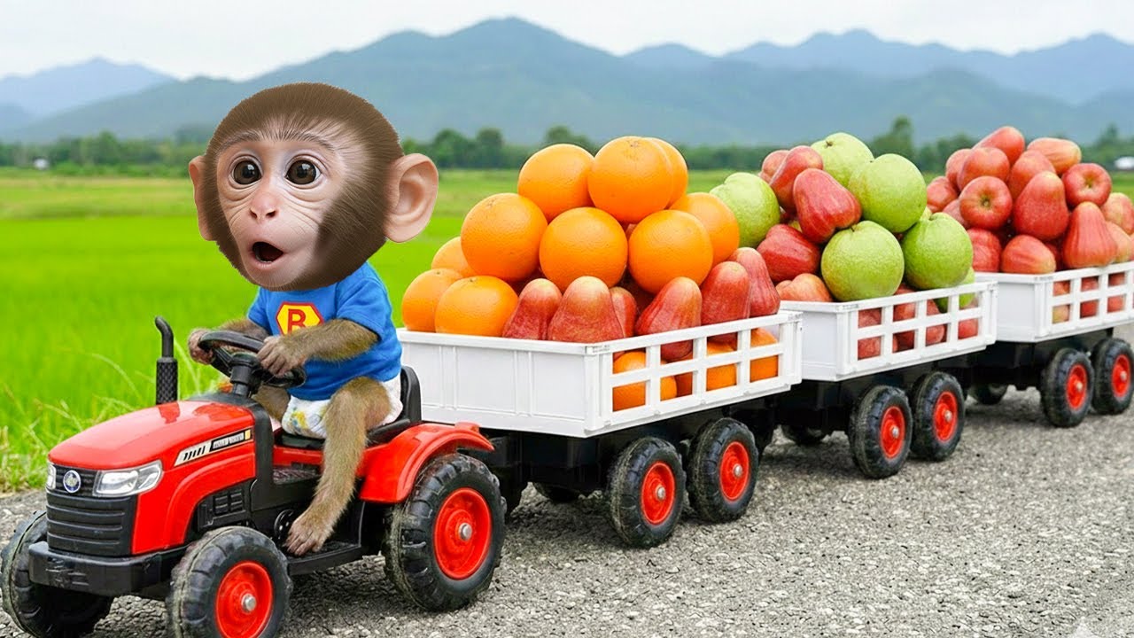 “O macaco Bim surpreende a todos com um suco de frutas incrível”