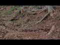 RC CAR MUDDING EXTREME 🚙💦 OFF-ROAD ADVENTURE 31