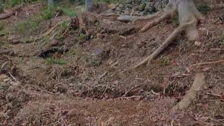 RC CAR MUDDING EXTREME 🚙💦 OFF-ROAD ADVENTURE 31