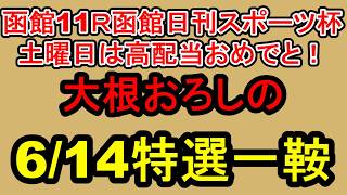 【競馬予想】6月14日の特選一鞍【大根おろし】