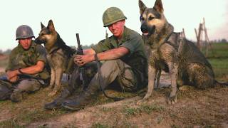 Forgotten Heroes: The Robert Hartsock Story (2019)