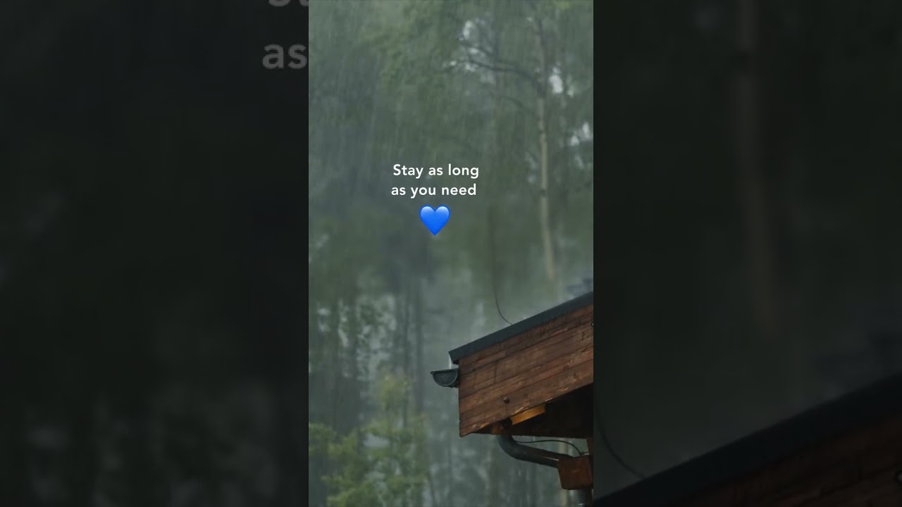 Let the rain quite your mind 