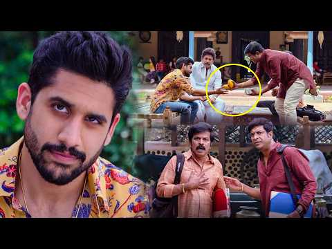 Naga Chaitanya, Vennela Kishore & Brahmaji Telugu Hilarious Comedy Scene || Kotha Cinema