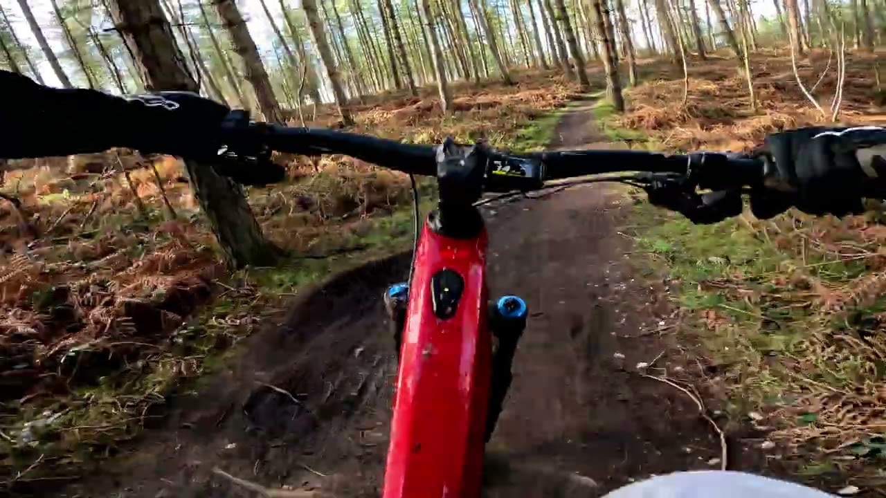 Cannock Chase Billy Goat Gruff..