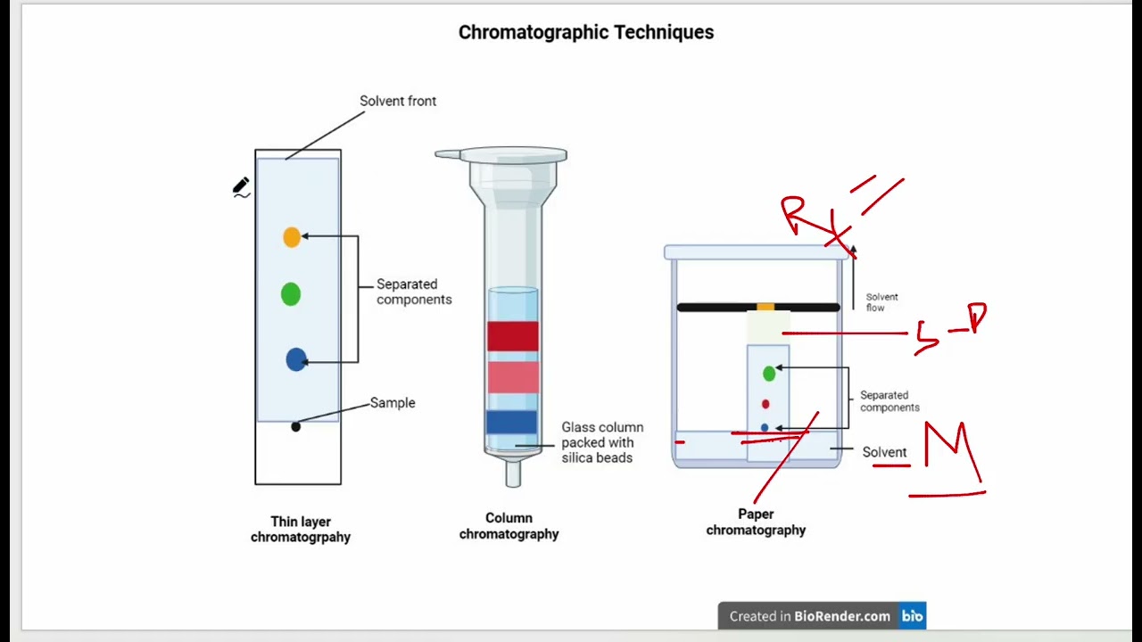 All-in-One Guide: Chromatography, Spectrophotometry, Microscopy & Analytical Methods