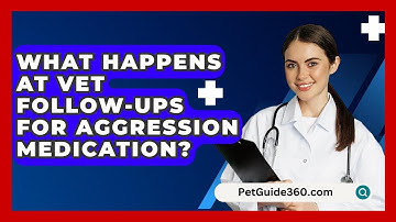 What Happens At Vet Follow-ups For Aggression Medication? - PetGuide360.com