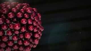Animation - Attractor Experiment HD 2014