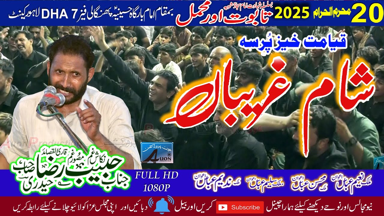 Zakir Habib Raza Haideri  || 20 Muharram 2025 || Imambargah Hussainia Pangali Lahore Cantt