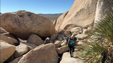 Hiking the Unmarked Maze Beneath Joshua Tree #Adventure #Nature #shorts #travel