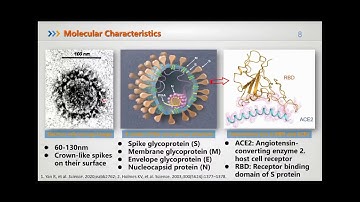 Laboratory Tests for CoVID-19
