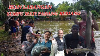 Download Lagu Pecandu Jala Ikan Larangan Pasaman Panen Besar di Sumpu Mati KUBU PADANG BERIANG MP3