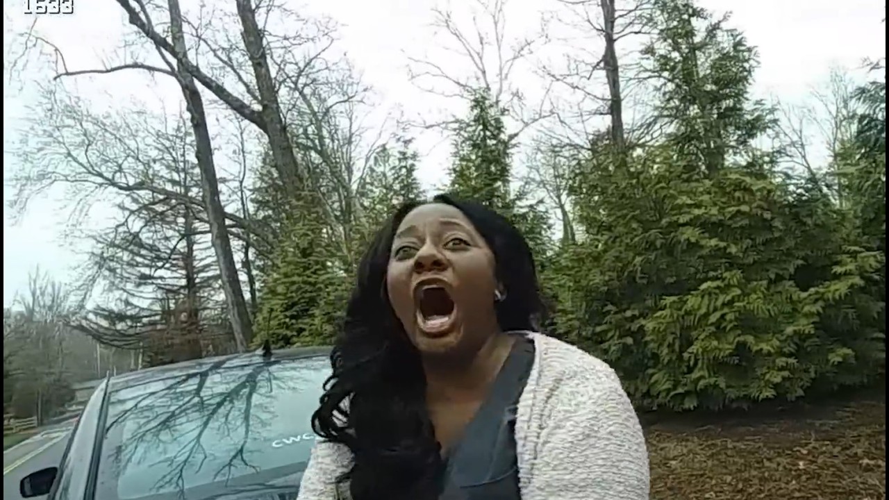 Traffic Stop Turns Messy After Entitled Nurse Refuses to Comply Gets ...