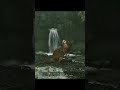 Прокоптодон Петрович ARK Valguero #arksurvivalascended #valguero