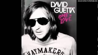 Sexy Bitch / David Guetta Feat. Akon