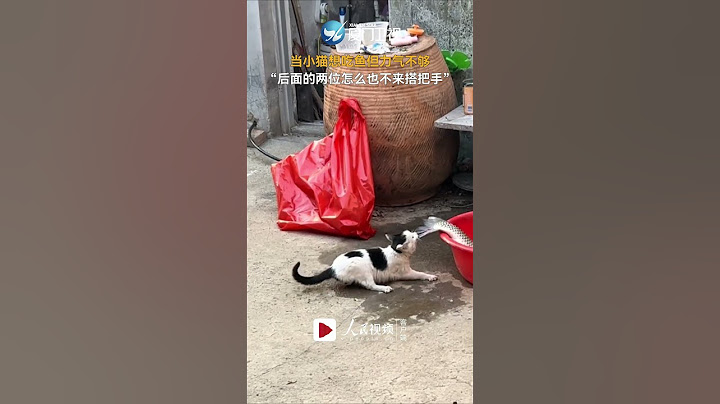 【萌寵】太逗了！饞嘴小貓想吃大魚無奈力氣不夠
