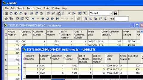 Recovering deleted records
