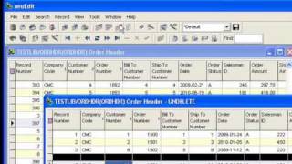 Recovering deleted records