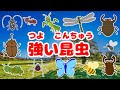 かっこいい昆虫のうた☆昆虫好きあつまれ【カブトムシ・カマキリ・オオスズメバチ・トノサマバッタ・グンタイアリ・タガメ・オニヤンマ・クワガタ】【昆虫アニメ図鑑】insects 虫の名前を覚えよう！