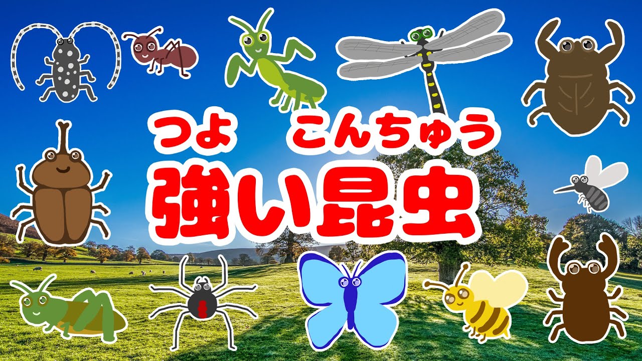 かっこいい昆虫のうた 昆虫好きあつまれ カブトムシ カマキリ オオスズメバチ トノサマバッタ グンタイアリ タガメ オニヤンマ クワガタ 昆虫アニメ図鑑 Insects 虫の名前を覚えよう Youtube