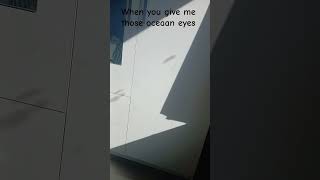sining oceaan eyes