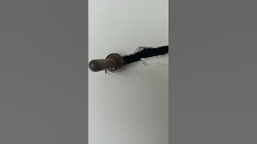 Texas family comes home to find it destroyed by house party | FOX 7 Austin