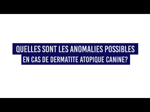 Vidéo: Dermatite des plis cutanés