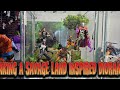 A step by step process of this Savage Land inspired diorama.