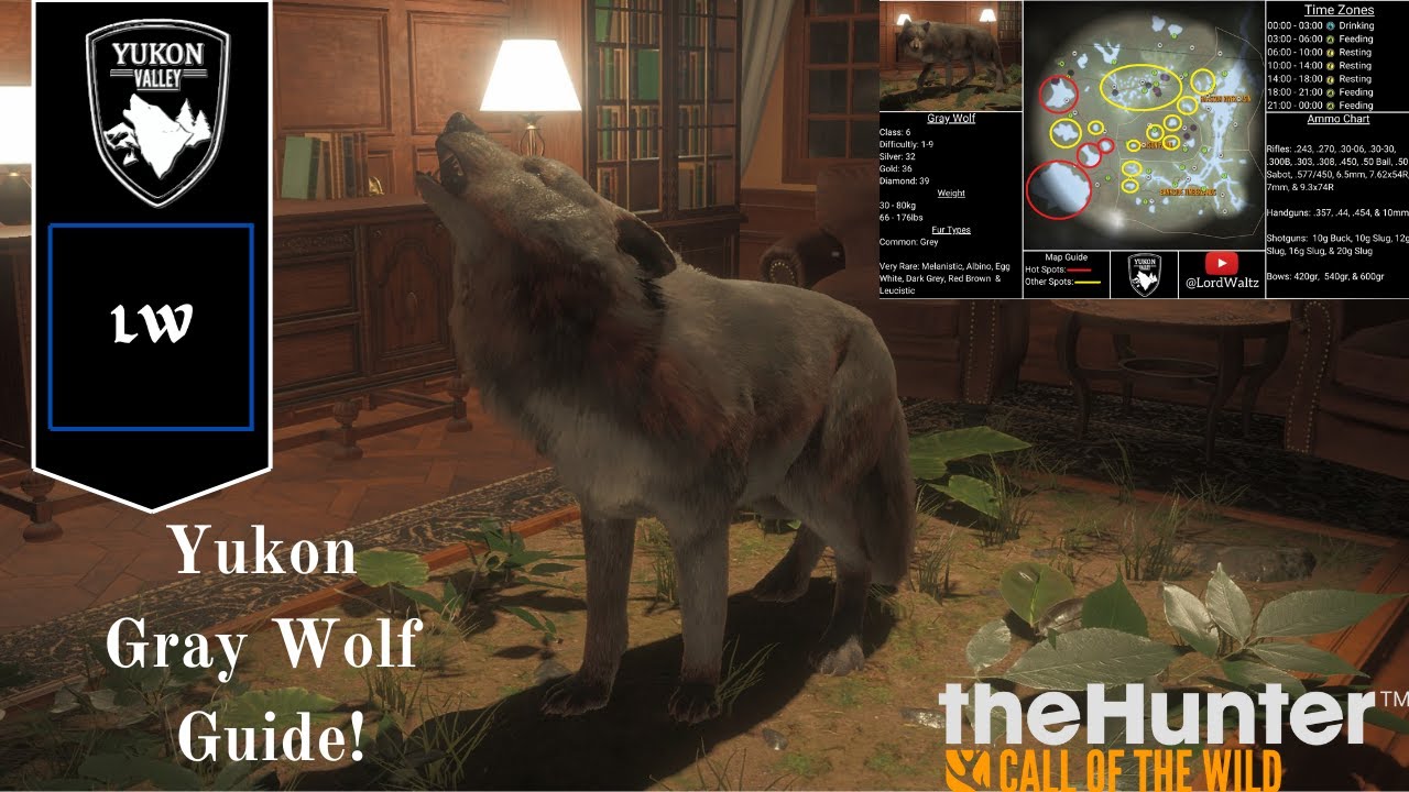 [2025/26] Grey Wolf Guide Yukon - Thehunter Call of the Wild - YouTube