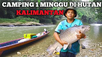 Camping Fishing 1 Minggu hujan Deras dapat Ikan mahseer besar pertualangan bermalam di hutan
