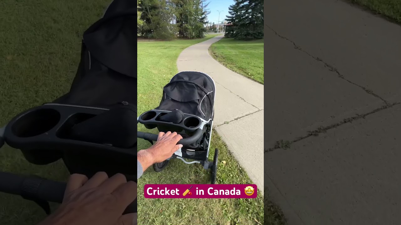 I saw  Cricket 🏏 Nets practice in Edmonton Canada. 