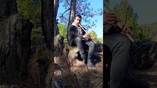 Karadır Kaşların-Ney Dinletisi