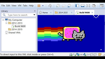 OS Destroying: Windows 8.1 (using MEMZ!)