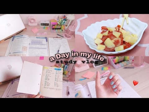 Study Vlog as a highschool student👩🏻‍🎓📚 | A day in my life : 5시간공부| Why Not