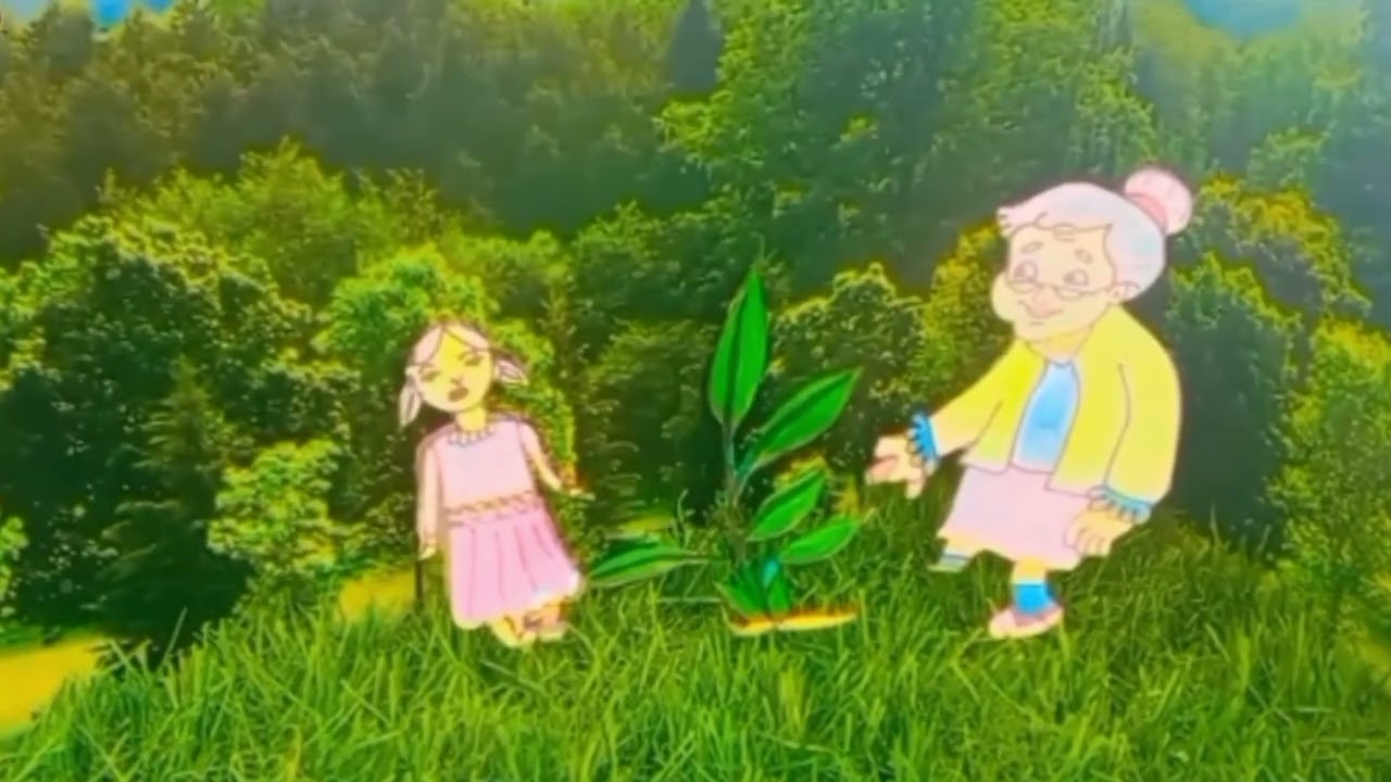 Story : Plants that heal 