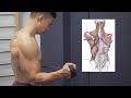 8 Months Journey to Overcome Shoulder Injury (Supraspinatus tear)