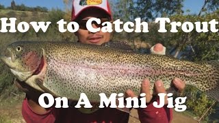 How to Catch Rainbow Trout Using a Mini Jig From Shore 