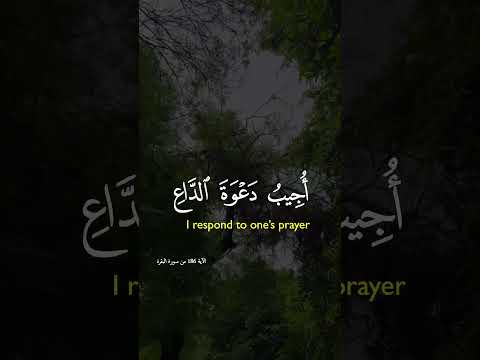 صباح الخير دعا اللهم امين اكسبلور لايك  القرآن الكريم تلاوت تصميمي راحة نفسية 