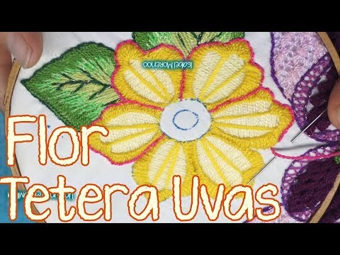 Vídeo: Flor Cinzenta Em Uvas: Em Frutos E Folhas. Como Processar Se As Uvas Estiverem Cobertas Por Uma Flor Cinza?