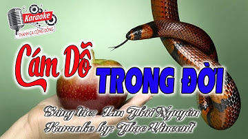 Cám Dỗ Trong Đời || Sáng tác: Lm Thái Nguyên || Trình bày: Ca sỹ Diệu Hiền