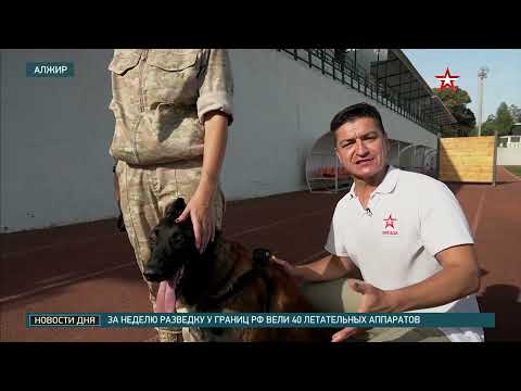 «Хвостатые бойцы» готовятся к соревнованиям АрМИ 2021 в Алжире