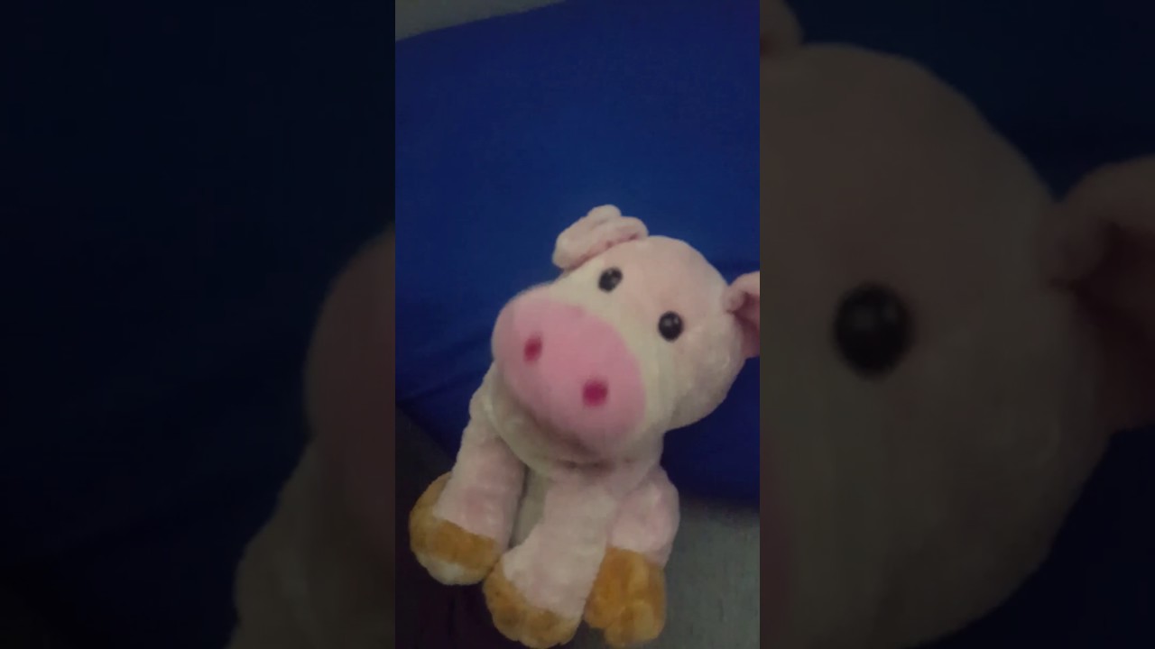 Canadian Bacon is Ready for Bed..The Tuck In