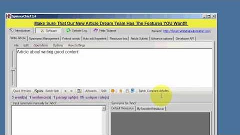 SpinnerChief - Protect Words Function