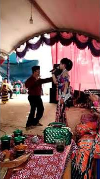 Story wa langgam tayub podang kuning